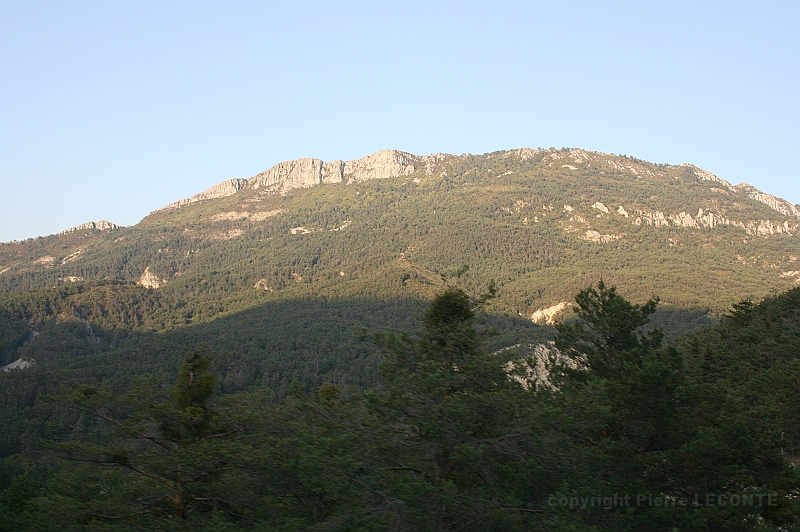 IMG_7249.JPG