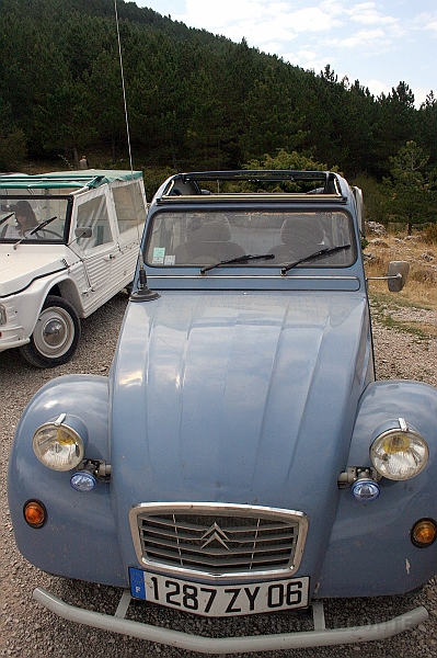 IMG_7282.JPG