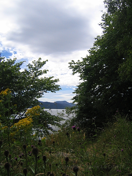 IMG_1IMG_0094.JPG