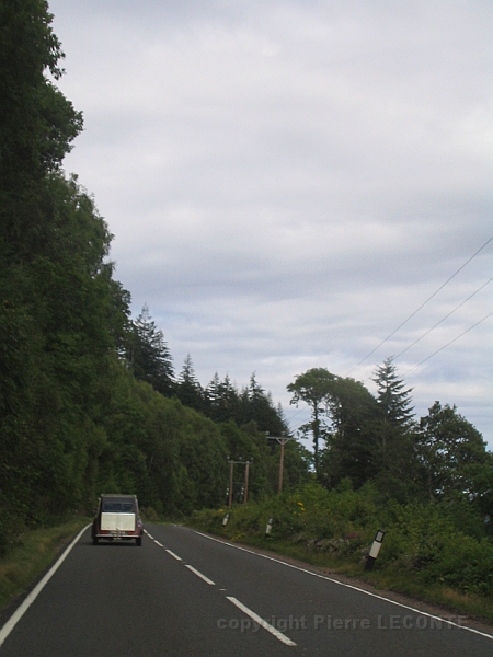 IMG_1IMG_0096.JPG