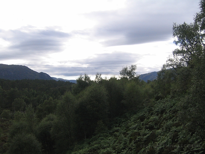 IMG_2IMG_0110.JPG