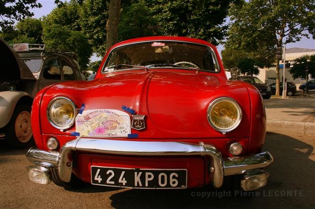 IMG_8547 (Small).JPG