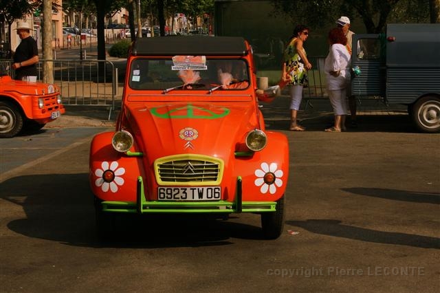 IMG_8550 (Small).JPG
