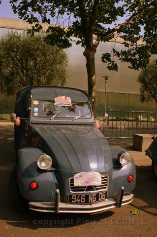 IMG_8602 (Small).JPG