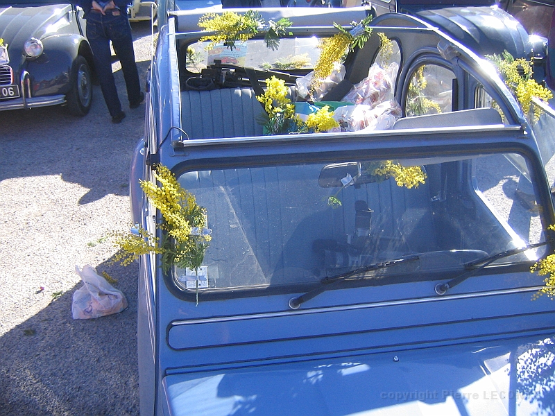 rdo2005 015.jpg