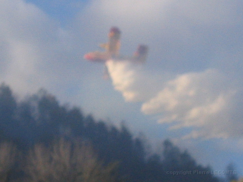 rdo2005 022.jpg