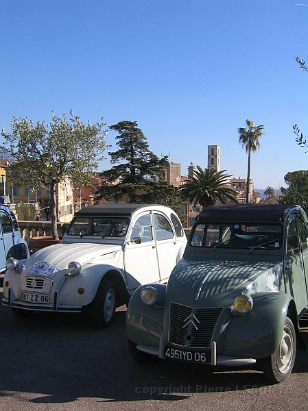 rdo2006 029.jpg
