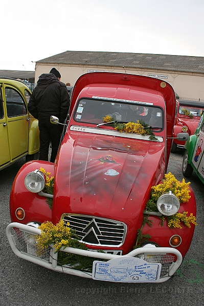 IMG_7706.JPG