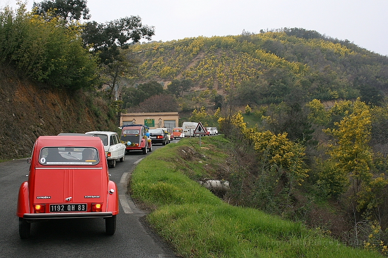 IMG_7712.JPG