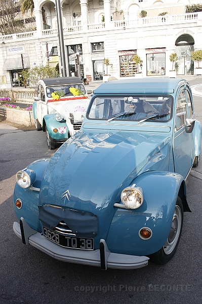 _MG_7566.JPG