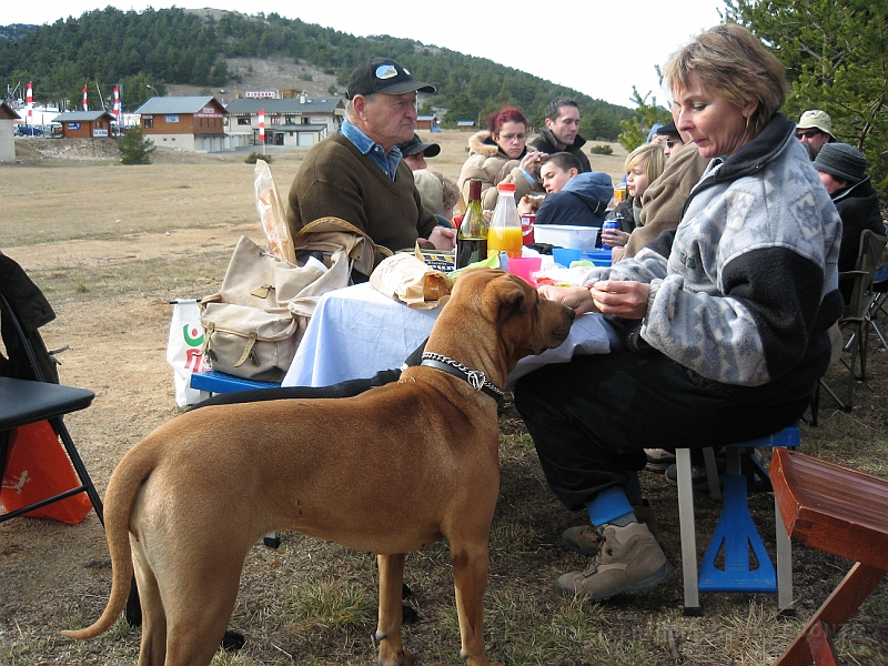 sortie greoliere 025.jpg
