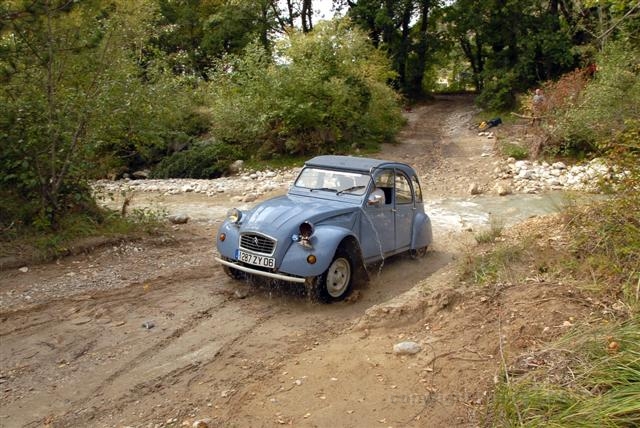 DSC_0642 (Small).JPG